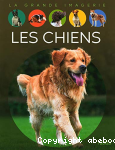 Les chiens