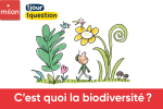 Cest quoi la biodiversit ?